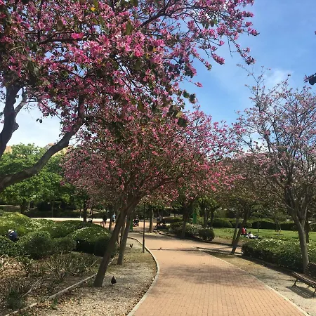 Benal Beach 아파트